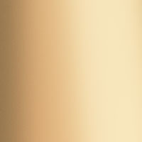 Brushed copper cone (PAR-20 lamp only)